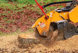 Best Tree Mulching  in University Heights, OH