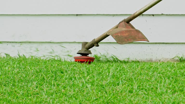 Best Root Management and Removal  in University Heights, OH